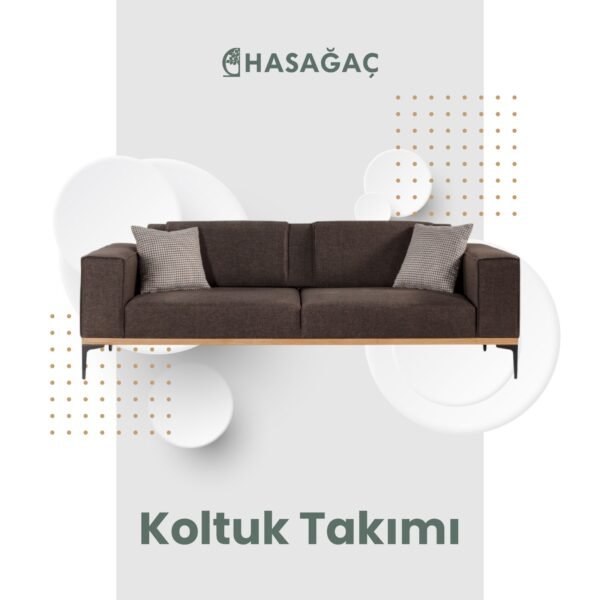 Koltuk Takımları
